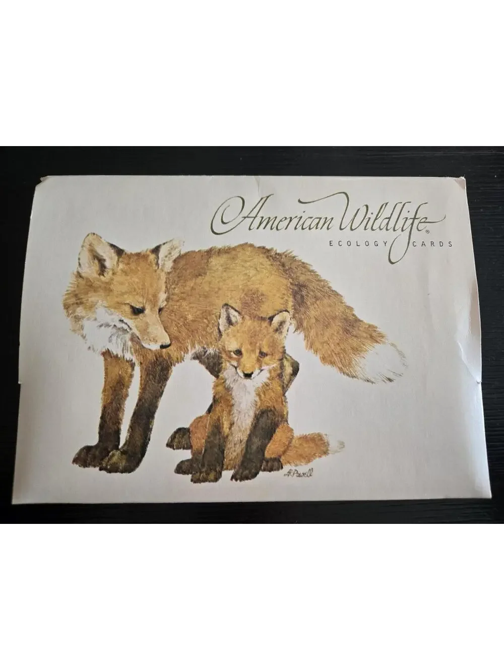 Vintage Current American Wildlife Ecology Cards Assorted Animal 8 Note Cards